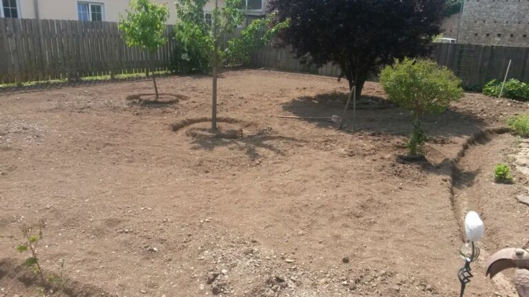 Garten-Neugestaltung