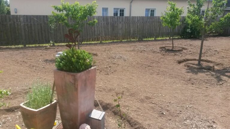 Garten-Neugestaltung